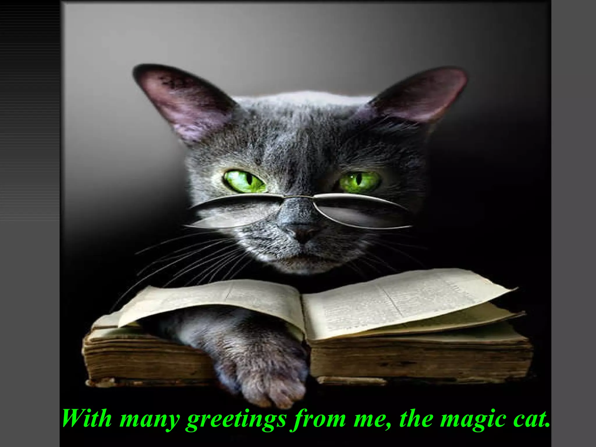 With many greetings from me, the magic cat. 