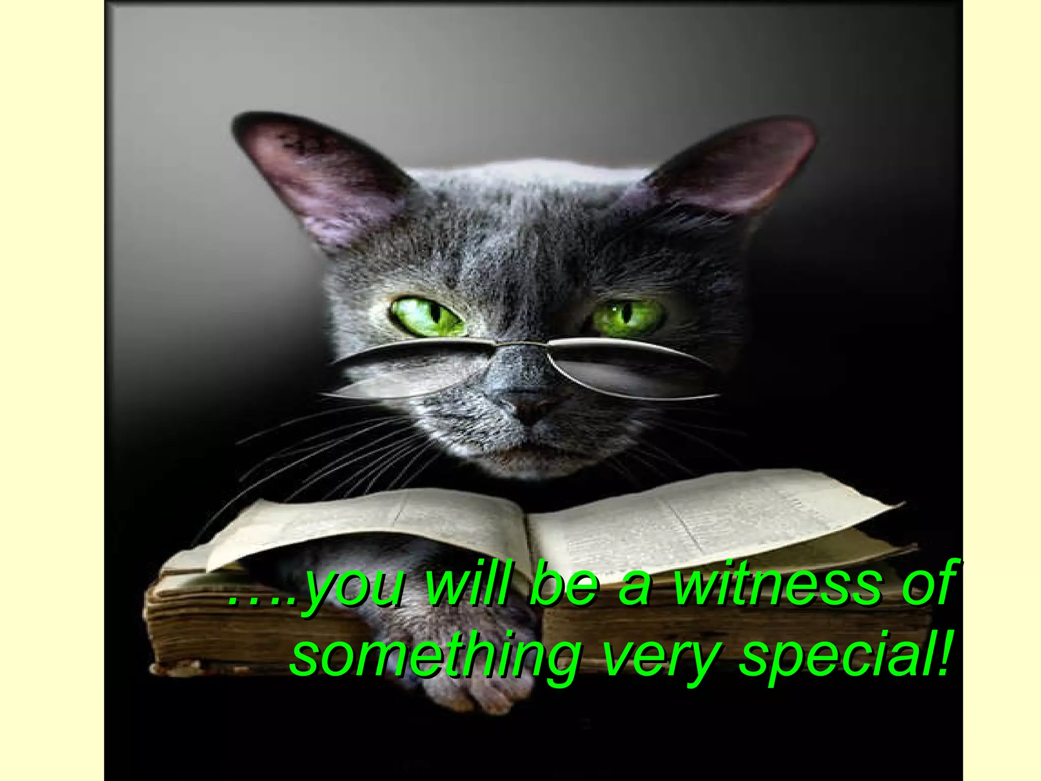 … .you will be a witness of something very special! 