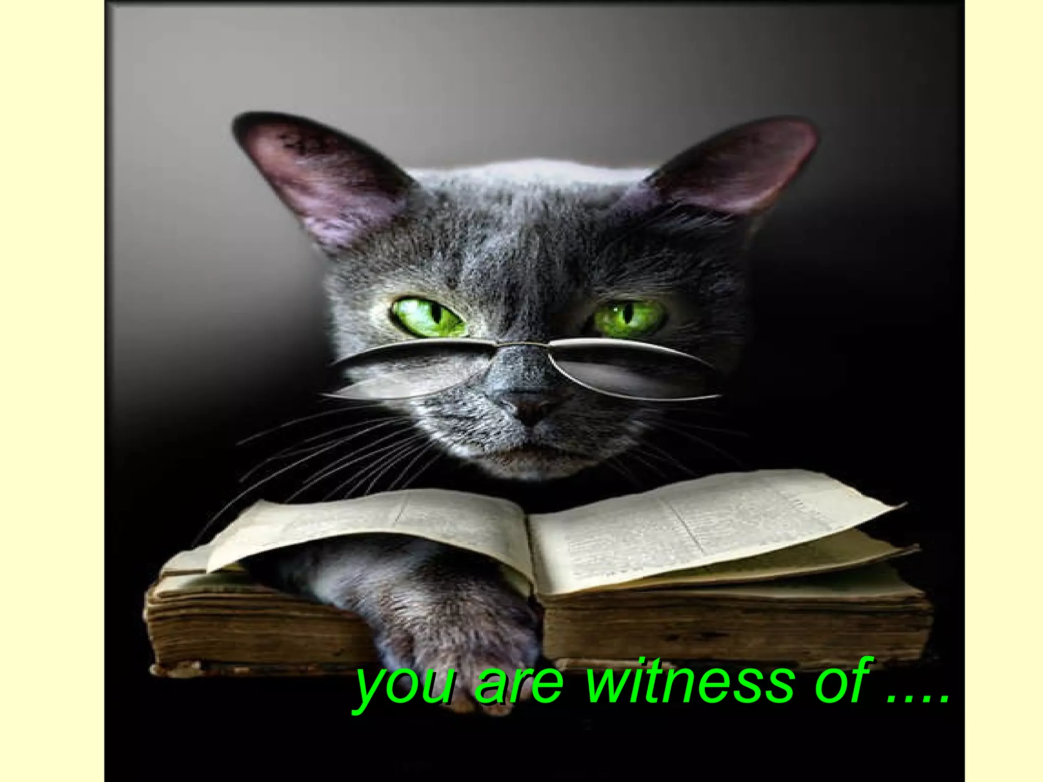 you are witness of   .... 