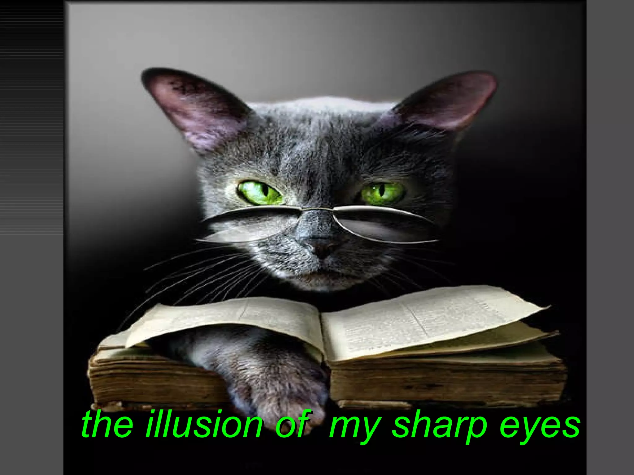 the illusion of  my sharp eyes 