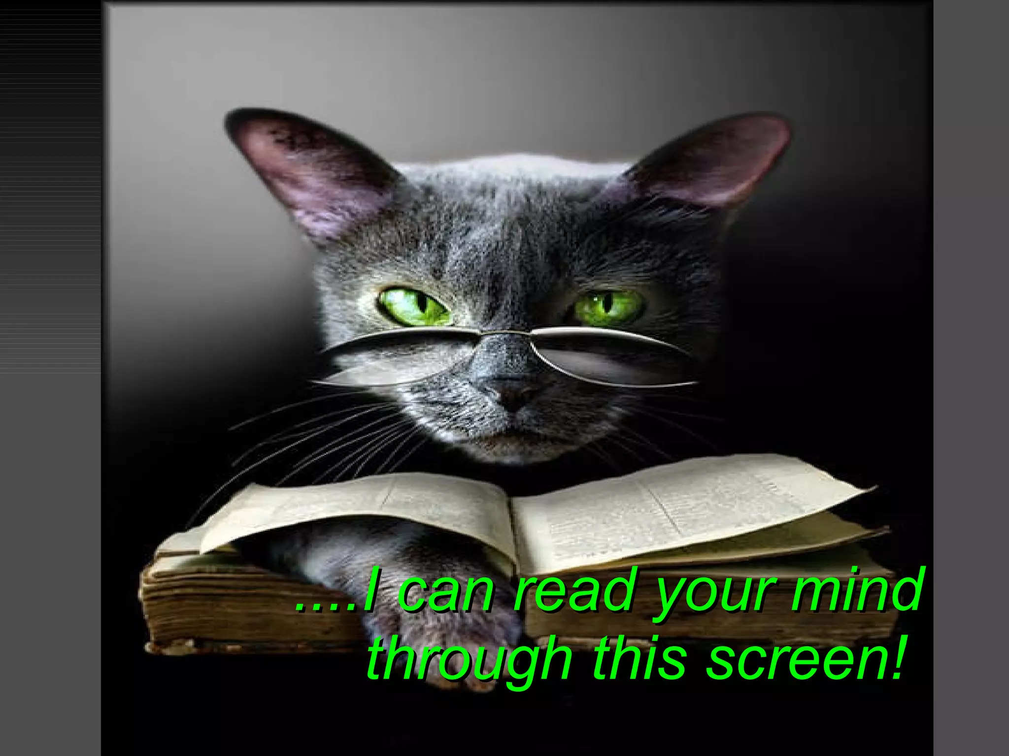....I can read your mind through this screen!   