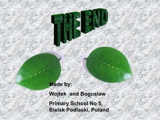 Made by:
Wojtek and Boguslaw
Primary School No 5,
Bielsk Podlaski, Poland
 