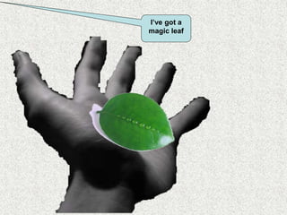 I’ve got a
magic leaf
 