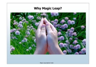Magic Leap Series A Deck