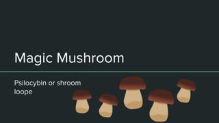 Magic Mushroom
Psilocybin or shroom
loope
 