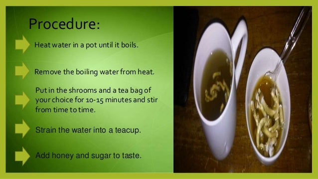 magic mushroom tea recipe