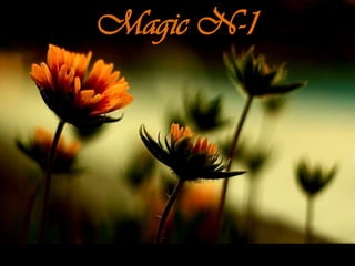 Magic N-1 