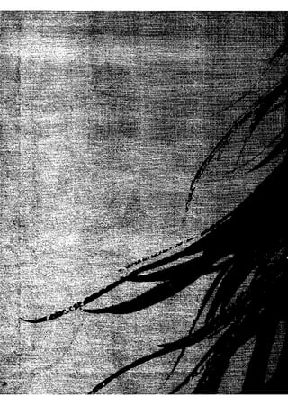 Magicni Vjetar Knjiga 29.pdf