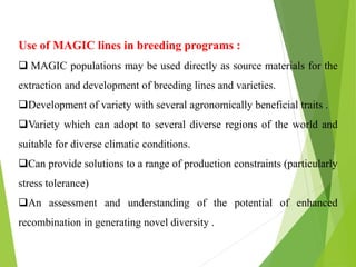 Use of MAGIC lines in breeding programs :
 MAGIC populations may be used directly as source materials for the
extraction and development of breeding lines and varieties.
Development of variety with several agronomically beneficial traits .
Variety which can adopt to several diverse regions of the world and
suitable for diverse climatic conditions.
Can provide solutions to a range of production constraints (particularly
stress tolerance)
An assessment and understanding of the potential of enhanced
recombination in generating novel diversity .
 