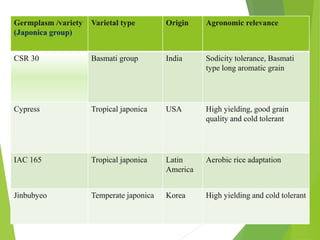 Germplasm /variety
(Japonica group)
Varietal type Origin Agronomic relevance
CSR 30 Basmati group India Sodicity tolerance, Basmati
type long aromatic grain
Cypress Tropical japonica USA High yielding, good grain
quality and cold tolerant
IAC 165 Tropical japonica Latin
America
Aerobic rice adaptation
Jinbubyeo Temperate japonica Korea High yielding and cold tolerant
 