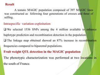 Intraspecific variation exploitation
 We selected 1536 SNPs among the 4 million available to enhance
haplotype prediction and recombination detection in the population.
 The linkage map obtained showed an 87% increase in recombination
frequencies compared to biparental populations.
Fruit weight QTL detection in the MAGIC population
The phenotypic characterization was performed at two locations in
the south of France.
A tomato MAGIC population composed of 397 MAGIC lines
was constructed as following four generations of crosses and three of
selfing.
Result
 