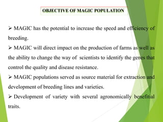OBJECTIVE OF MAGIC POPULATION
 MAGIC has the potential to increase the speed and efficiency of
breeding.
 MAGIC will direct impact on the production of farms as well as
the ability to change the way of scientists to identify the genes that
control the quality and disease resistance.
 MAGIC populations served as source material for extraction and
development of breeding lines and varieties.
 Development of variety with several agronomically benefitial
traits.
 