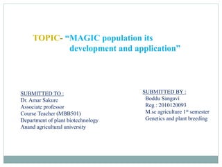 TOPIC- “MAGIC population its
development and application”
SUBMITTED TO :
Dr. Amar Sakure
Associate professor
Course Teacher (MBB501)
Department of plant biotechnology
Anand agricultural university
SUBMITTED BY :
Boddu Sangavi
Reg : 2010120093
M.sc agriculture 1st semester
Genetics and plant breeding
 