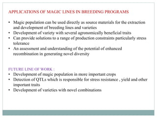 MAGIC population and its application in crop improvement | PPTX