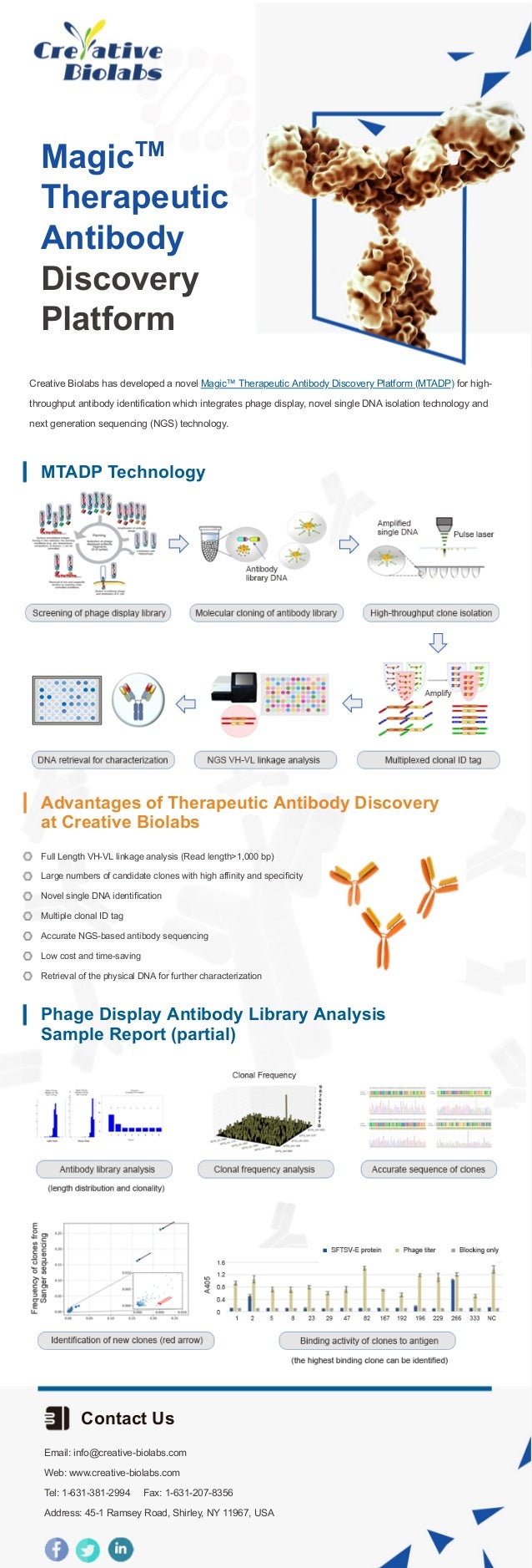 MagicTM
Therapeutic
Antibody
Discovery
Platform
Creative Biolabs has developed a novel Magic™ Therapeutic Antibody Discovery Platform (MTADP) for high-
throughput antibody identification which integrates phage display, novel single DNA isolation technology and
next generation sequencing (NGS) technology.
MTADP Technology
Advantages of Therapeutic Antibody Discovery
at Creative Biolabs
Full Length VH-VL linkage analysis (Read length>1,000 bp)
Large numbers of candidate clones with high affinity and specificity
Novel single DNA identification
Multiple clonal ID tag
Accurate NGS-based antibody sequencing
Low cost and time-saving
Retrieval of the physical DNA for further characterization
Phage Display Antibody Library Analysis
Sample Report (partial)
Contact Us
Email: info@creative-biolabs.com
Web: www.creative-biolabs.com
Tel: 1-631-381-2994 Fax: 1-631-207-8356
Address: 45-1 Ramsey Road, Shirley, NY 11967, USA
 