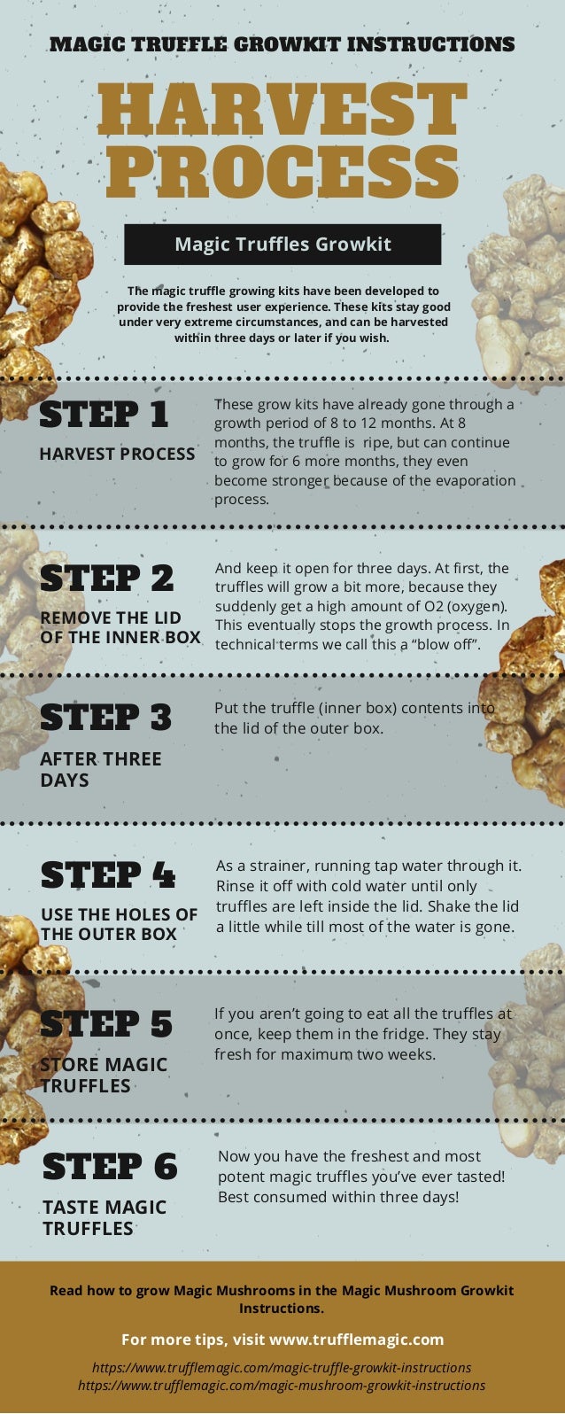 Magic Truffles Growkit Instructions and Harvest Process
