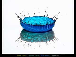 Blaue Krone - Couronne bleue - Blue crown - Corona azúl 
 