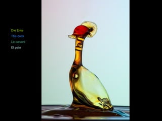 Die Ente 
The duck 
Le canard 
El pato 
 