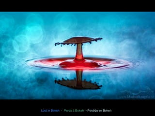 Lost in Bokeh - Perdu à Bokeh - Perdido en Bokeh 
 