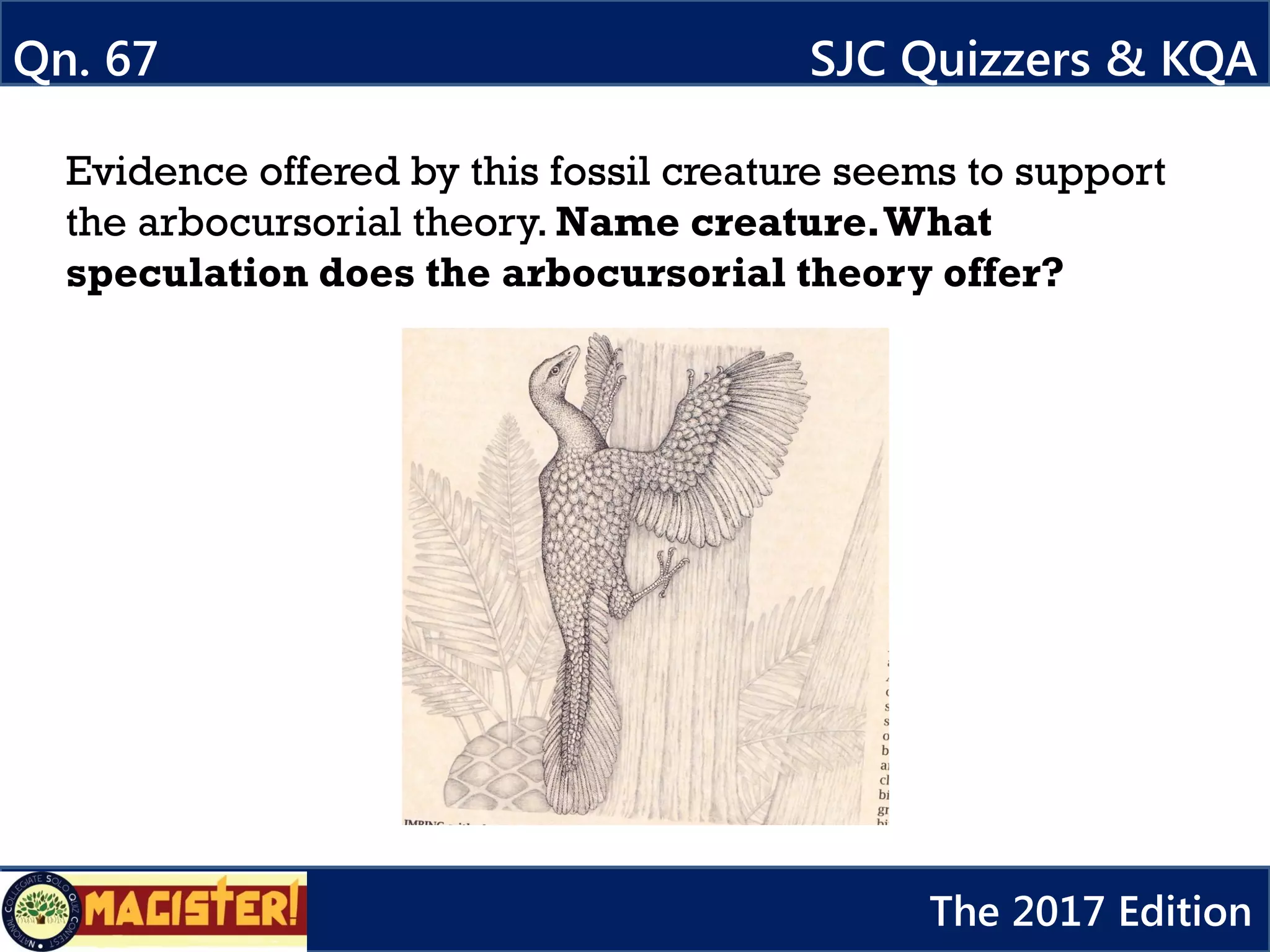 Evidence offered by this fossil creature seems to support
the arbocursorial theory. Name creature.What
speculation does the arbocursorial theory offer?
Qn. 67 SJC Quizzers & KQA
The 2017 Edition
 