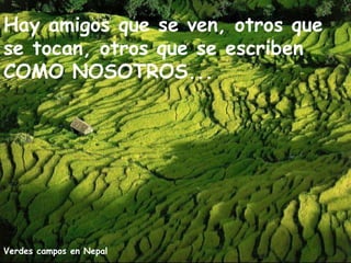 Verdes campos en Nepal
Hay amigos que se ven, otros que
se tocan, otros que se escriben
COMO NOSOTROS...
 