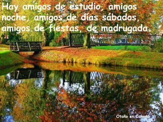Otoño en Canadá
Hay amigos de estudio, amigos
noche, amigos de días sábados,
amigos de fiestas, de madrugada.
 