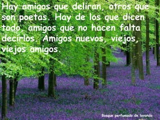 Bosque perfumado de lavanda
Hay amigos que deliran, otros que
son poetas. Hay de los que dicen
todo, amigos que no hacen falta
decirlos. Amigos nuevos, viejos,
viejos amigos.
 