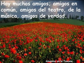 Amapolas en la Toscana
Hay muchos amigos; amigos en
común, amigos del teatro, de la
música, amigos de verdad.
 
