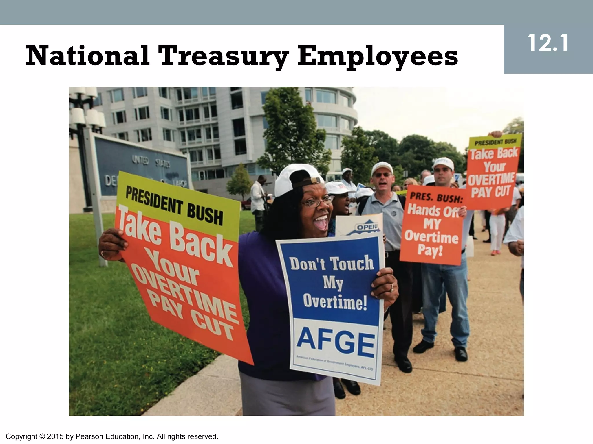 Copyright © 2015 by Pearson Education, Inc. All rights reserved.
National Treasury Employees 12.1
 