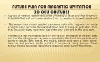 Magnetic Levitation (Maglev) Powerpoint Presentation