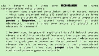Sia i batteri sia i virus sono MICRORGANISMI ma hanno
caratteristiche molto diverse:
i batteri sono organismi unicellulari privi di nucleo, mentre
i virus sono organismi molto più semplici costituiti da forme
genetiche protette da un rivestimento generalmente composto da
proteine o lipoproteine. I batteri hanno dimensioni di pochi
micrometri, invece i virus sono ancora più piccoli e si
misurano in nanometri.
I batteri sono in grado di replicarsi da soli infatti possono
vivere sia all’interno sia all’esterno di un organismo possono
quindi vivere anche su superfici inerti, mentre i virus non ne
sono in grado,perchè devono per forza trovarsi in un essere
vivente che sia un umano, un animale o una pianta.alcuni
batteri e alcuni virus sono patogeni cioè in determinate
condizioni possono generare malattie.
 