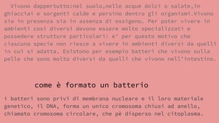 Vivono dappertutto:nel suolo,nelle acque dolci o salate,in
ghiacciai e sorgenti calde e persino dentro gli organismi.Vivono
sia in presenza sia in assenza di ossigeno. Per poter vivere in
ambienti così diversi devono essere molto specializzati e
possedere strutture particolari: e’ per questo motivo che
ciascuna specie non riesce a vivere in ambienti diversi da quelli
in cui si adatta. Esistono per esempio batteri che vivono sulla
pelle che sono molto diversi da quelli che vivono nell’intestino.
come è formato un batterio
i batteri sono privi di membrana nucleare e il loro materiale
genetico, il DNA, forma un unico cromosoma chiusi ad anello,
chiamato cromosoma circolare, che pè disperso nel citoplasma.
 