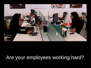 Are your employees working hard?
 