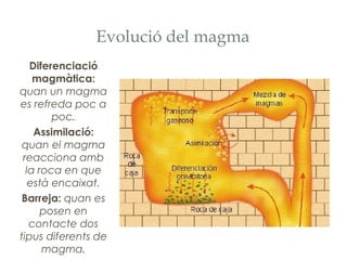Evolució del magma
Diferenciació
magmàtica:
quan un magma
es refreda poc a
poc.
Assimilació:
quan el magma
reacciona amb
la roca en que
està encaixat.
Barreja: quan es
posen en
contacte dos
tipus diferents de
magma.

 