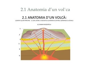 2.1 Anatomia d’un vol`ca

 