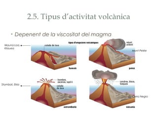 2.5. Tipus d’activitat volcànica
• Depenent de la viscositat del magma
Mauna Loa,
Kilauea

Mont Pelée

Stomboli, Ekla

Cerro Negro

 