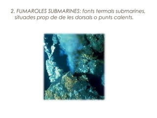 2. FUMAROLES SUBMARINES: fonts termals submarines,
situades prop de de les dorsals o punts calents.

 