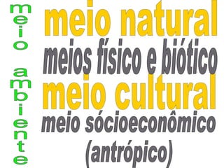 meio ambiente meio cultural meio natural meios físico e biótico meio sócioeconômico (antrópico) 