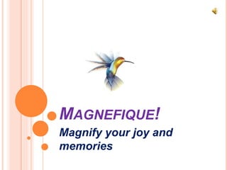 MAGNEFIQUE!
Magnify your joy and
memories
 