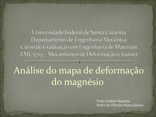 Análise do mapa de deformação
         do magnésio
                  Paola Giuline Siqueira
                  Pedro de Oliveira Nunes Junior
 