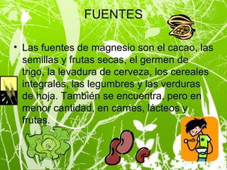 FUENTES Las fuentes de magnesio son el cacao, las semillas y frutas secas, el germen de trigo, la levadura de cerveza, los cereales integrales, las legumbres y las verduras de hoja. También se encuentra, pero en menor cantidad, en carnes, lácteos y frutas. 