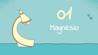 01
Magnesio
 