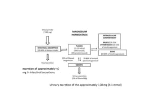 excretion of approximately 40
mg in intestinal secretions
Urinary excretion of the approximately 100 mg (4.1 mmol)
 