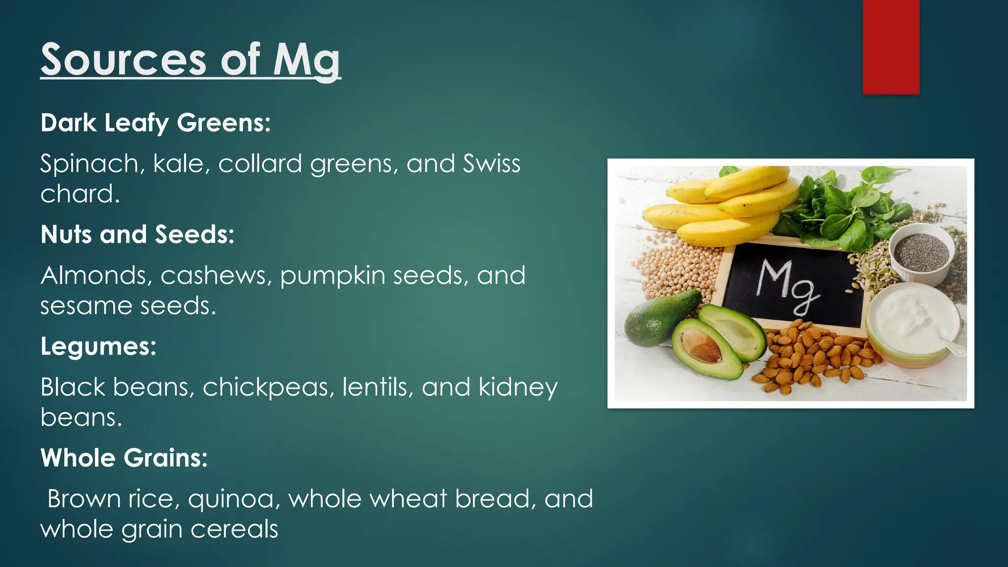 Which Of The Following Is Not A Function Of Magnesium Magnesium | Sources | Functions | Deficiency Symptoms | PPT