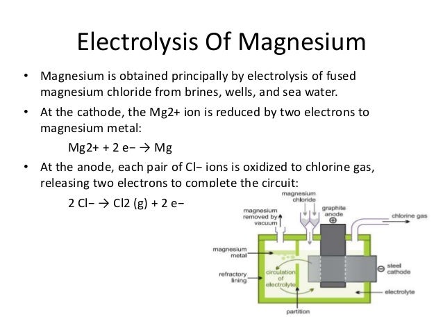 Magnesium research paper