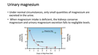 Urinary magnesium
• Under normal circumstances, only small quantities of magnesium are
excreted in the urine.
• When magnesium intake is deficient, the kidneys conserve
magnesium and urinary magnesium excretion falls to negligible levels.
 