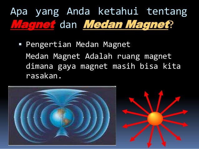 Magnet