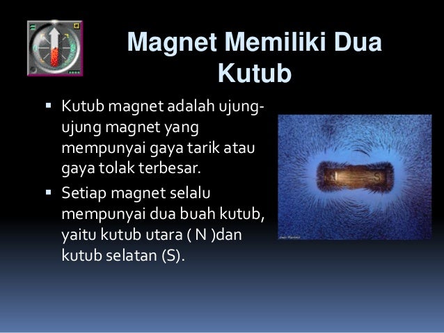 Magnet