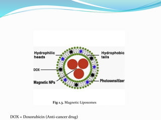 Fig 1.3. Magnetic Liposomes
DOX = Doxorubicin (Anti-cancer drug)
 