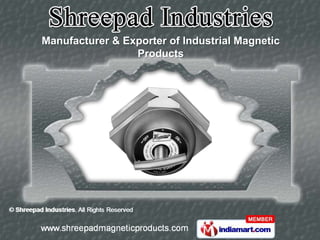 Manufacturer & Exporter of Industrial Magnetic
                 Products
 